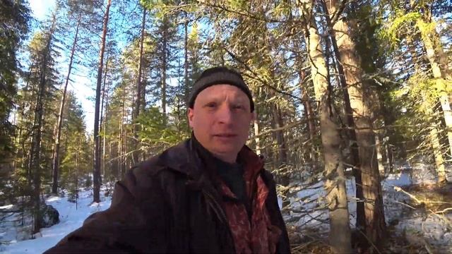 На вездеходе по токам. Март 2025.