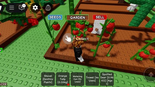 вырасти сад