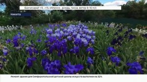 В Никитском ботсаду начался 20-й карнавал Ирисов