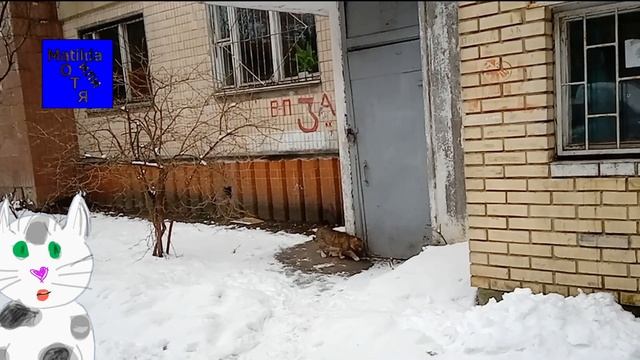 Мистер Смокинг в гостях у Мурки Маленькой