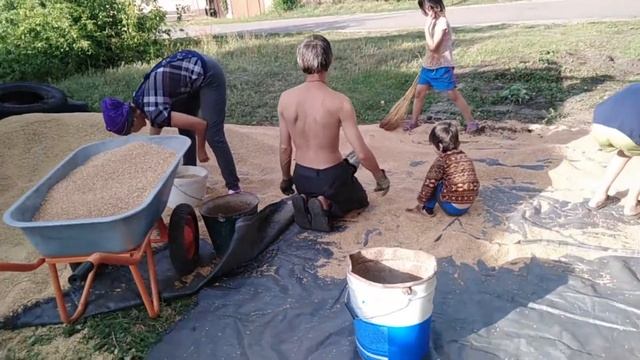 Новый урожай зерна 2020 смотреть онлайн