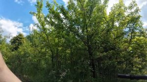 Трейловый Велосипед За 70К! Bozgoo Tranzion - ТОП за свои деньг?