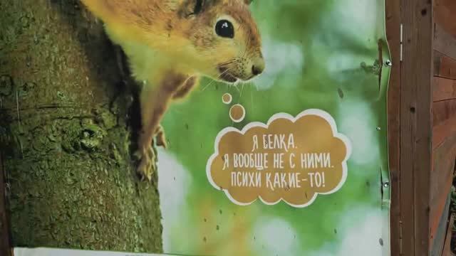 Активный отдых  в верёвочном парке "TreeToTree" Озерки /Санкт-Петербург