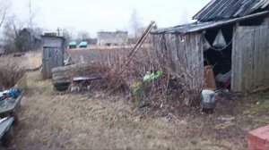 Patriot PT 5220 / Весеннее обслуживание бензопилы