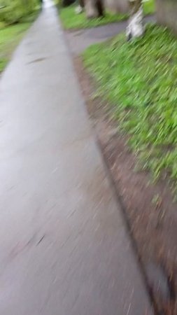 Серое небо и городские пейзажи -Cleaning shadow on street