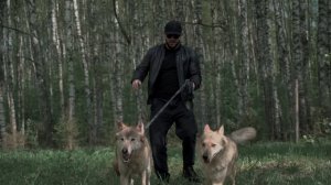 Ислам Итляшев - Влюблённый волк (Official Video, 2024) @MELOMAN-HIT