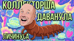 ВСЕ ЧТО МОЖНО И НЕЛЬЗЯ В РАЗГОВОРЕ С ВЗЫСКАТЕЛЕМ!