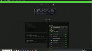 (Яркая, функциональная, бестолковая) Обзор Razer Blackwidow V4 P