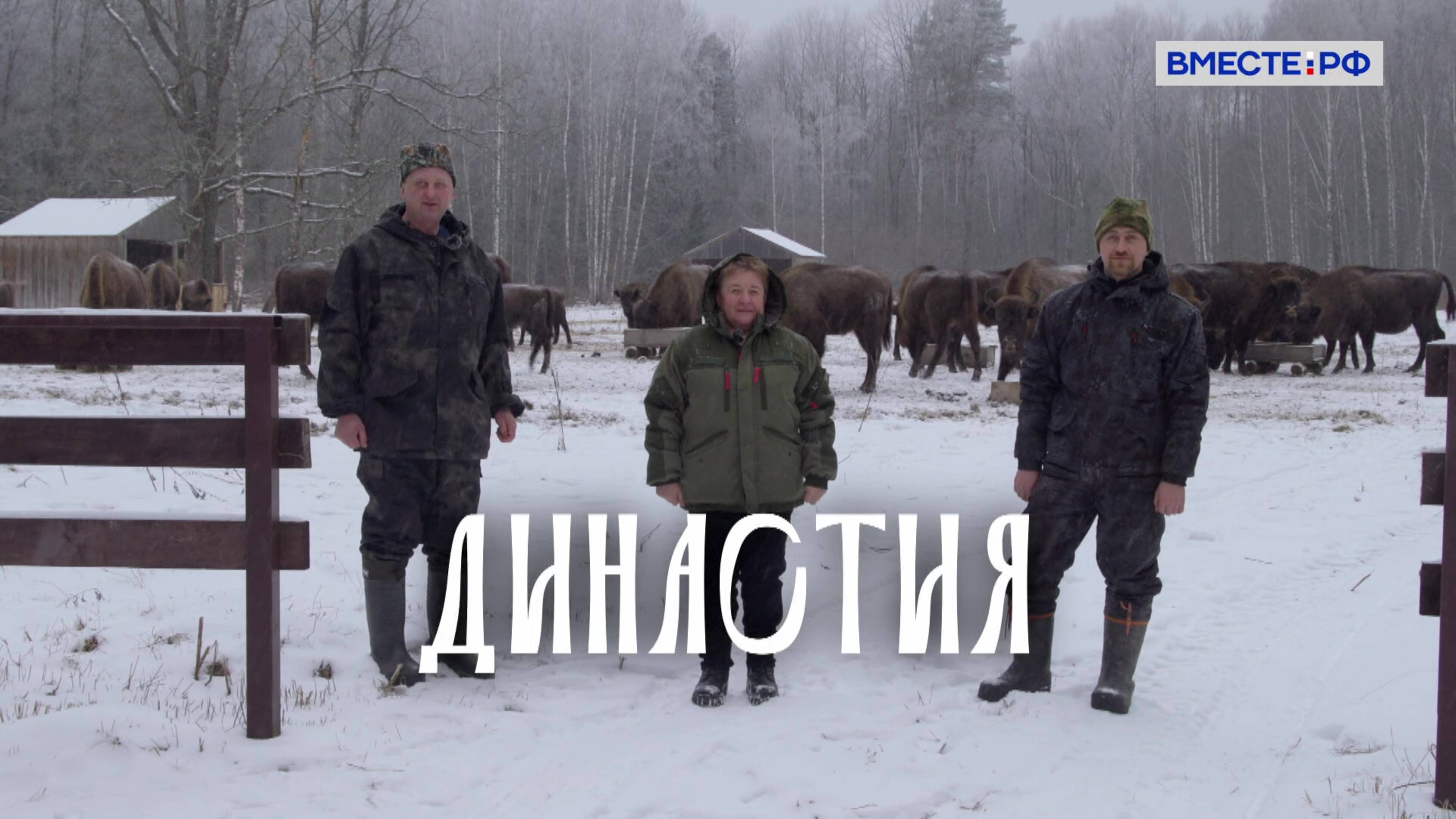 Династия. Колтуновы