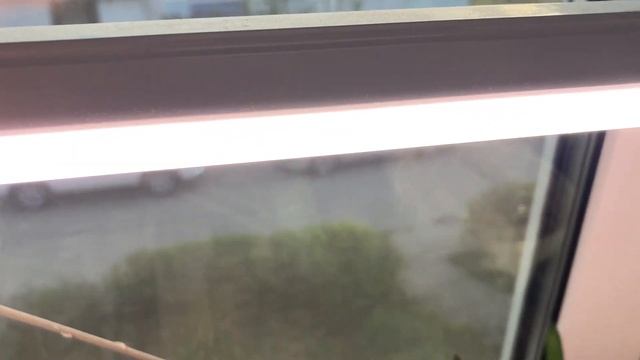 Просто посмотрите и ваши суккуленты НЕ БУДУТ ТЯНУТСЯ! смотреть онлайн