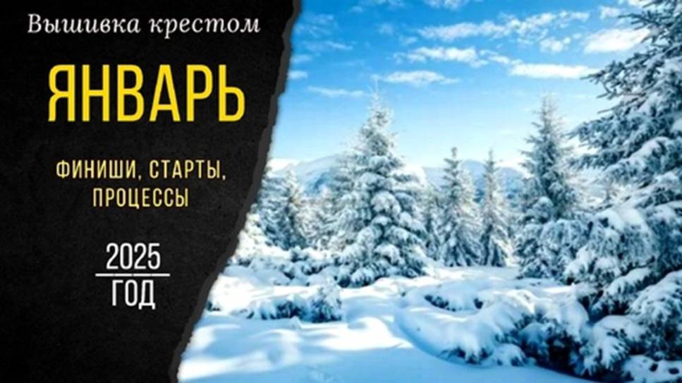 ЯНВАРЬ_ Все процессы_ФИНИШ Гостиная Когтевран и др._Старты_СП_Обо всем понемногу_Вышивка крестом смотреть онлайн