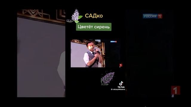 группа садко цветет сирень