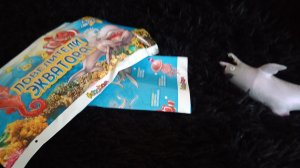 купил антистресс дельфин