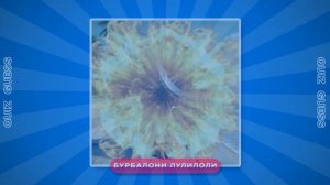 УГАДАЙ ИТАЛЬЯНСКИЙ MEM ПО ЭМОДЗИ ЗА 5 СЕКУНД