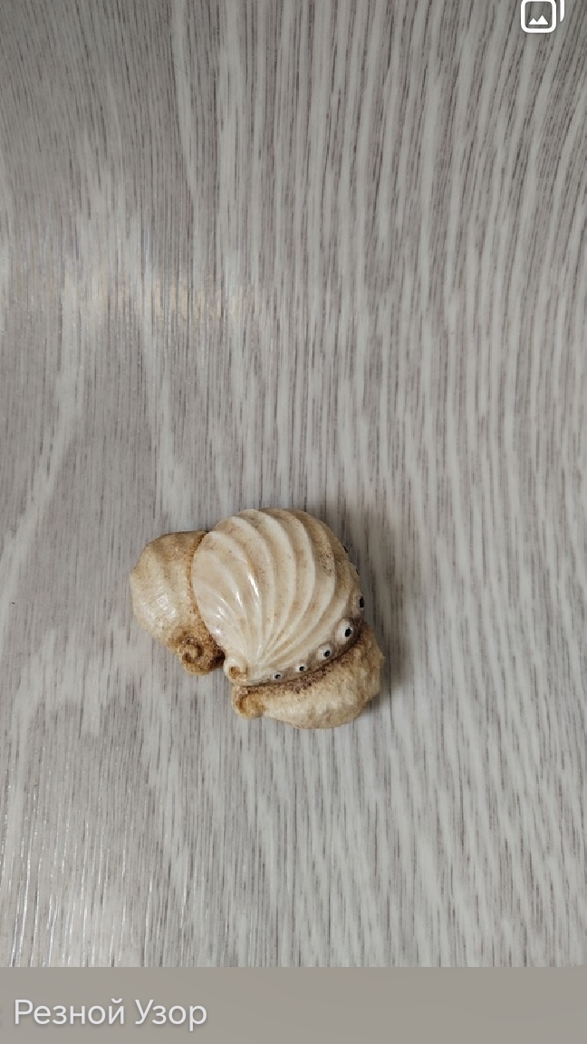 Нэцкэ. Ракушки.