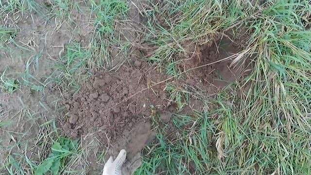 КОП НА ПОЛЕ/коп с симплекс плюс #металлкоп #копсмд #кла?
