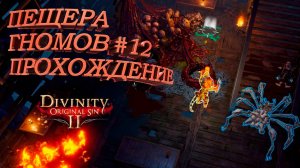 ПРОХОЖДЕНИЕ,ПЕЩЕРА ГНОМОВ►Divinity Original Sin 2►12