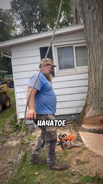 Маленькая бензопила против гигантского дерева – кто ? смотреть онлайн