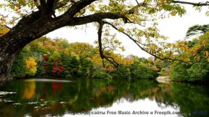 Музыка, способная влюбить в природу мгновенно - Moves -- Makaih Beats -- Moves