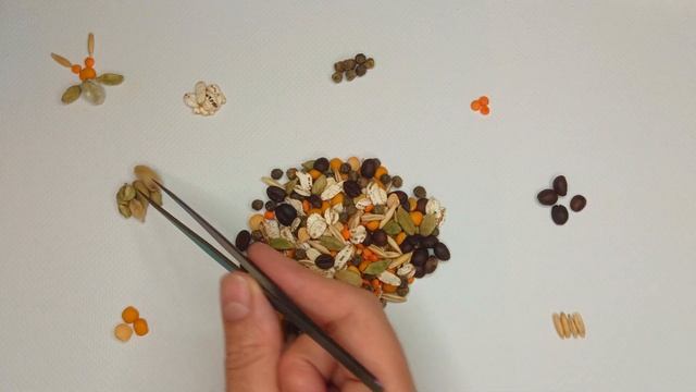 Я пришла на свидание вслепую… и случайно села за стол смотреть онлайн