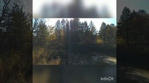 Осеннее скерцо. муз. и слова Александр Городницкий, исп. Мария Пичугина