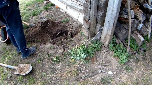 ЧТО ПРОИСХОДИТ НА УЧАСТКЕ В ДЕРЕВНЕ