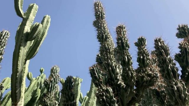 Ган Ха Шлоша - рай местного значения смотреть онлайн