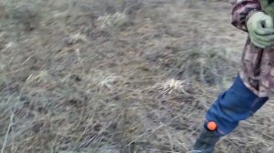 Skycruiser s63 не видит монету, а тёрка 705 видит... Как так то...