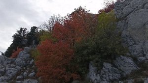 Ай-Петри