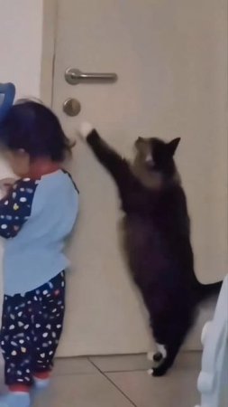 Неправильно открываешь человечешка