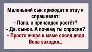 Батя Офигел От Услышанного! Сборник Свежих Анекдотов!