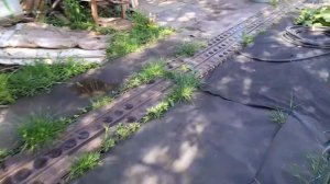 Прополола  малину.  Обточили зубы, есть не могу.
