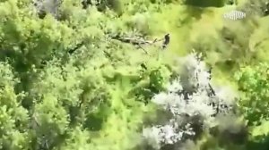 Пулемётчик «Малой»