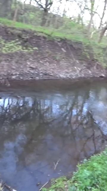 Лесная микроречка #рыбалка #shorts смотреть онлайн