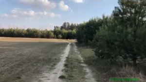 Квадроцикл FORTE HUNTER 125 детский