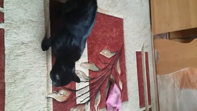 Страшное одеяло смотреть онлайн