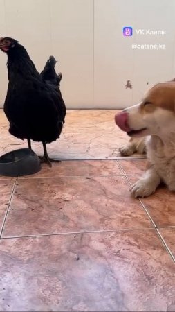 1000022153.mp4