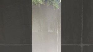 Высол на керамограните, как убрать последствия чистки