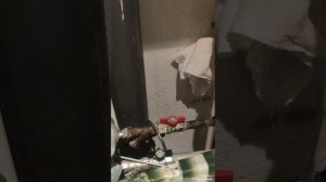 1000204932.mp4
