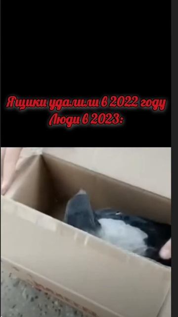 ВОРОН ВЫПАЛ ААААА (бедный ворон, он так испугался) 😭🤣 смотреть онлайн