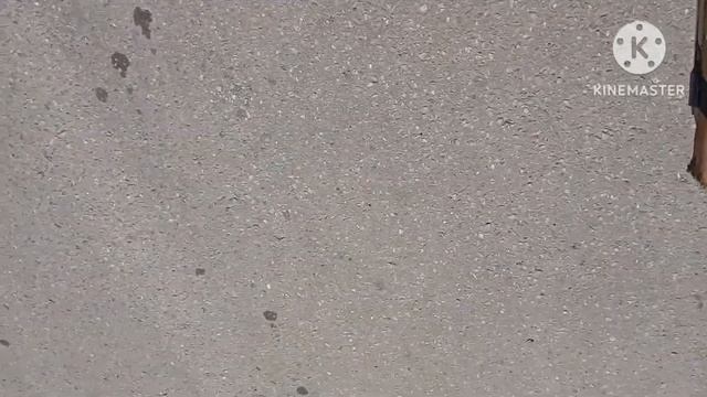 Мото приключения 6000 км на ИЖе. Часть 1 2 июля 2024 г.