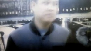 Мама норка папа бобёр)