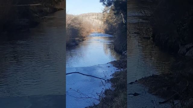 2 ноября 2024 г. смотреть онлайн