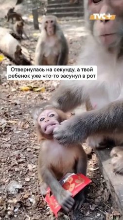 Что-то съел уже