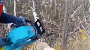 бензопила Ротор, 4500