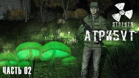 S.T.A.L.K.E.R. Атрибут # 02. Грибная поляна