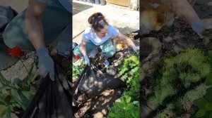 Что произошло с землёй спустя 5 лет применения спанбонда?