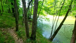 Кросс кантри ))) #mtb #велосипед #лес