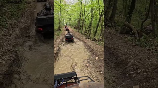 ЧЕРЕЗ РЕКУ В ГОРЫ НА КВАДРОЦИКЛАХ#адыгея #рекабелая #г?