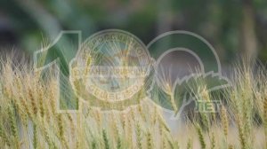 Фильм "100 лет Всероссийскому обществу охраны природы"